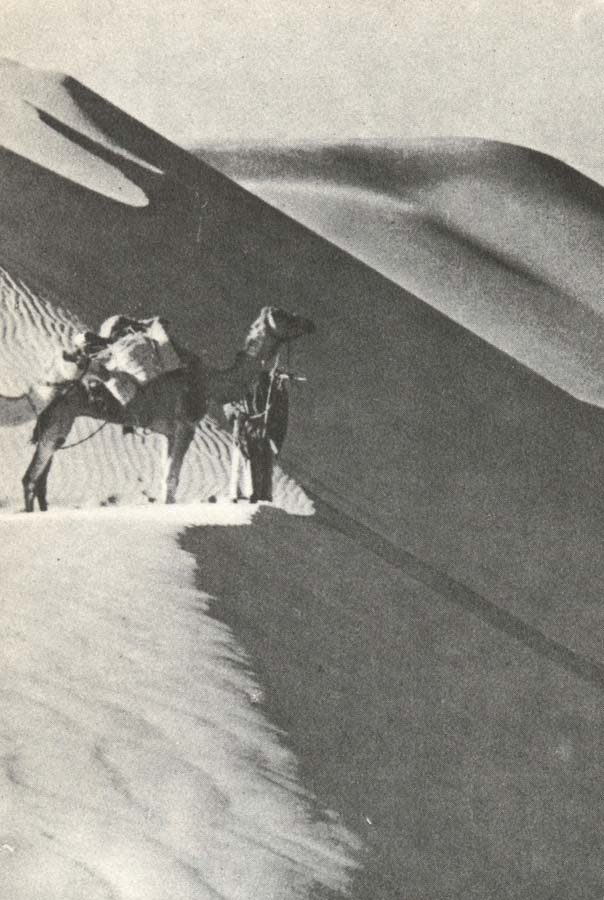 wilfred thesigers expedition rastar pa toppen av en sanddyn under ritten genom det tomma landet